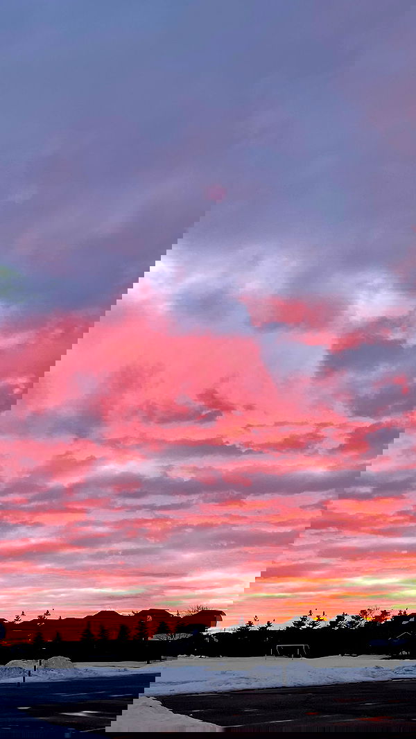 ivy.pavlova image ~ Altpins