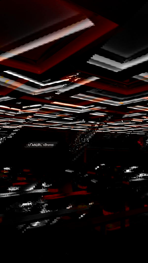 ivy.pavlova image ~ Altpins