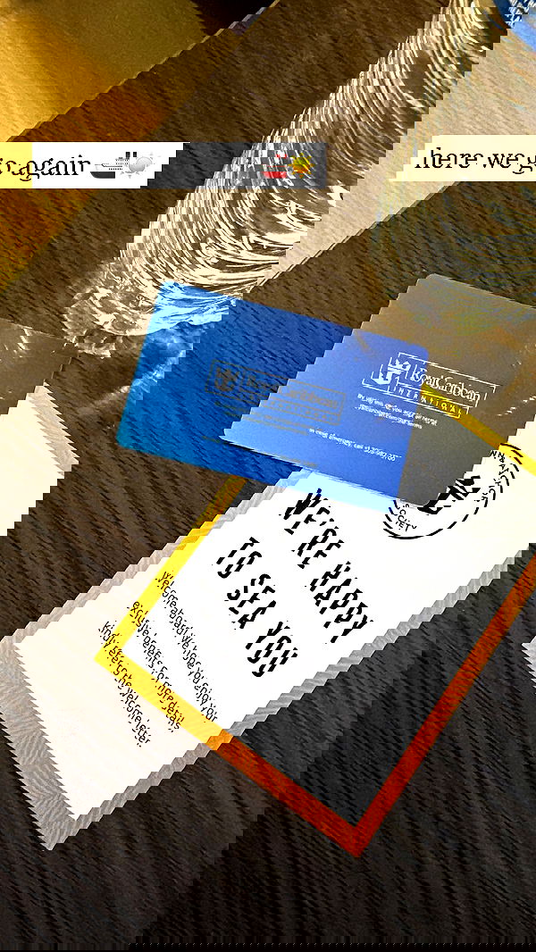 ivy.pavlova image ~ Altpins