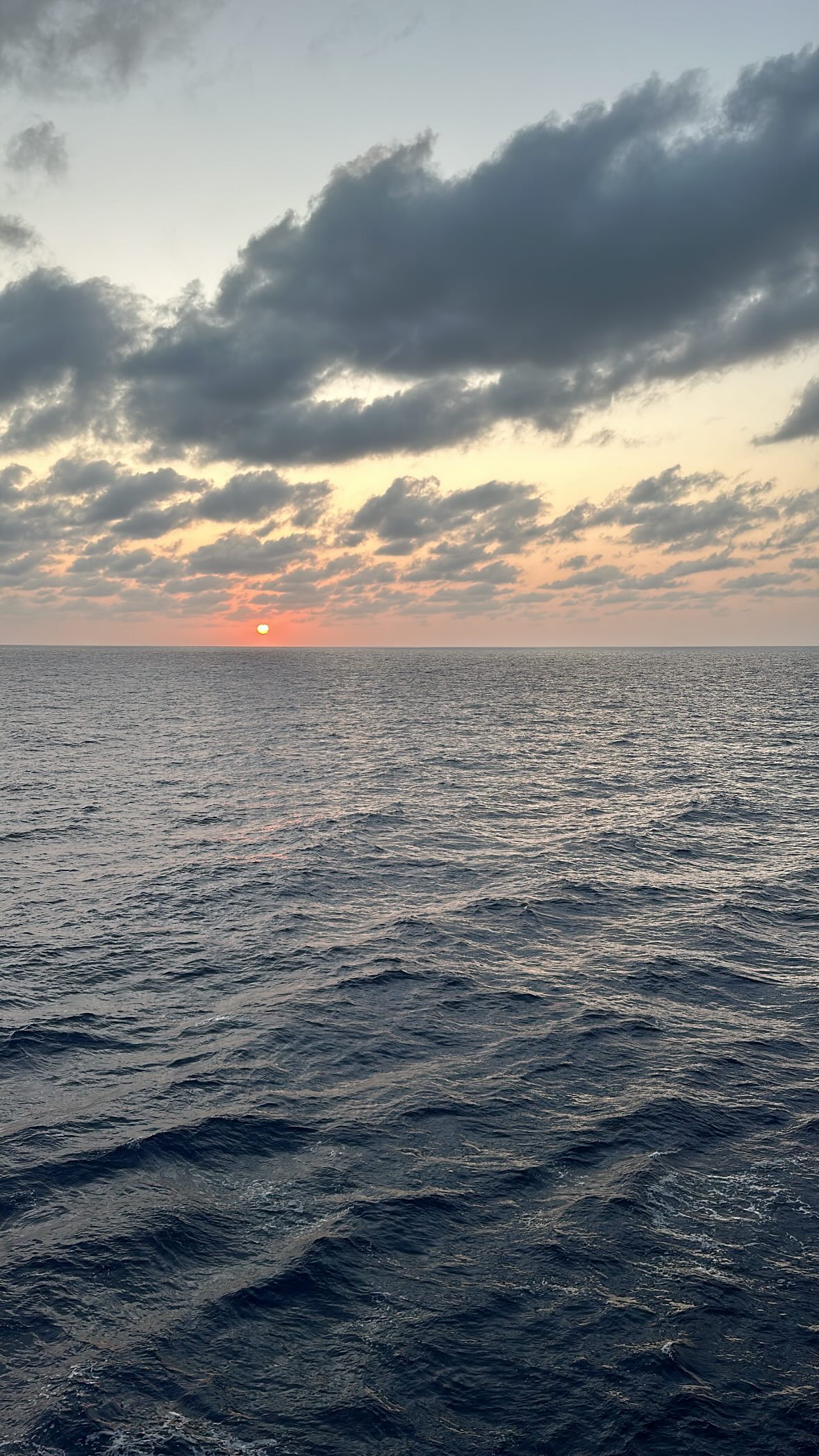 ivy.pavlova instagram image archive image