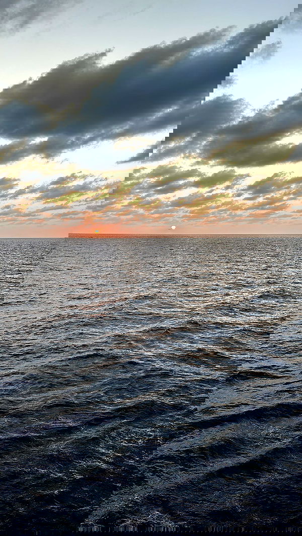 ivy.pavlova image ~ Altpins