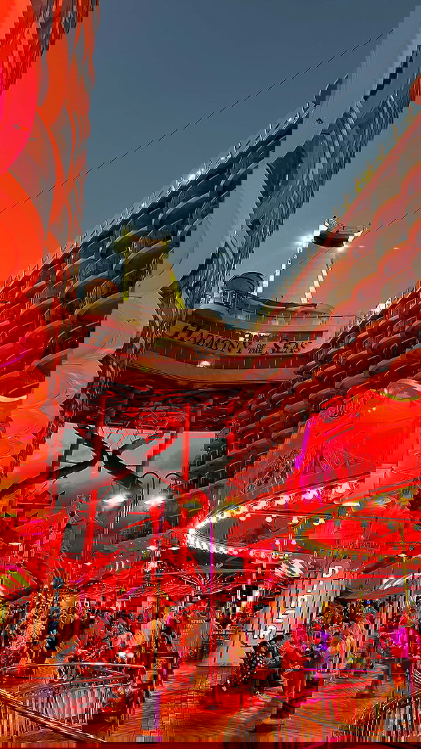 ivy.pavlova image ~ Altpins