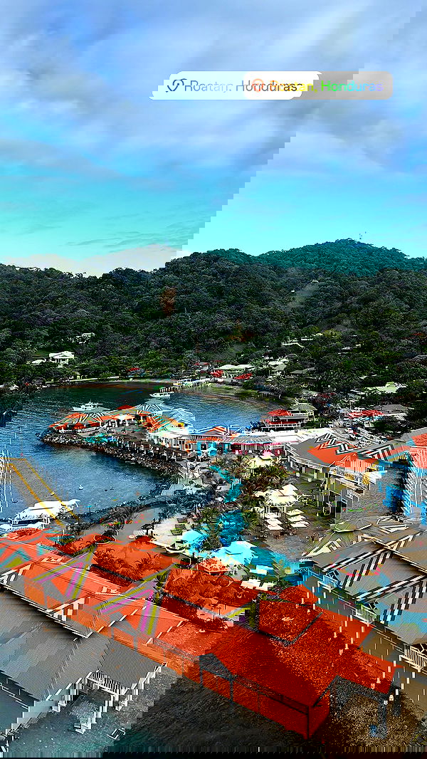 ivy.pavlova image ~ Altpins