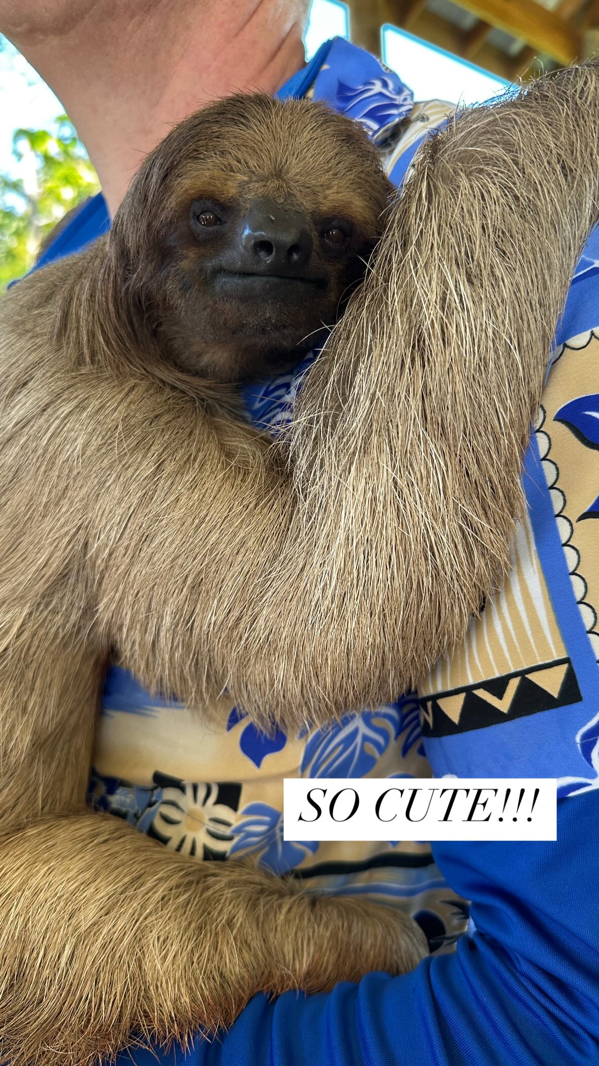 ivy.pavlova instagram image archive image