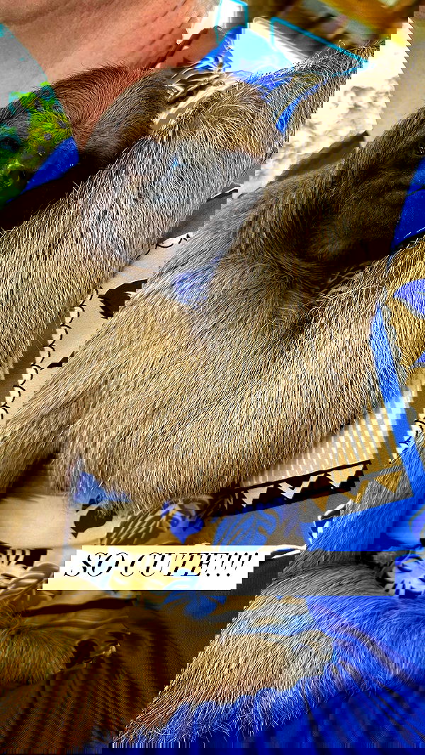 ivy.pavlova image ~ Altpins