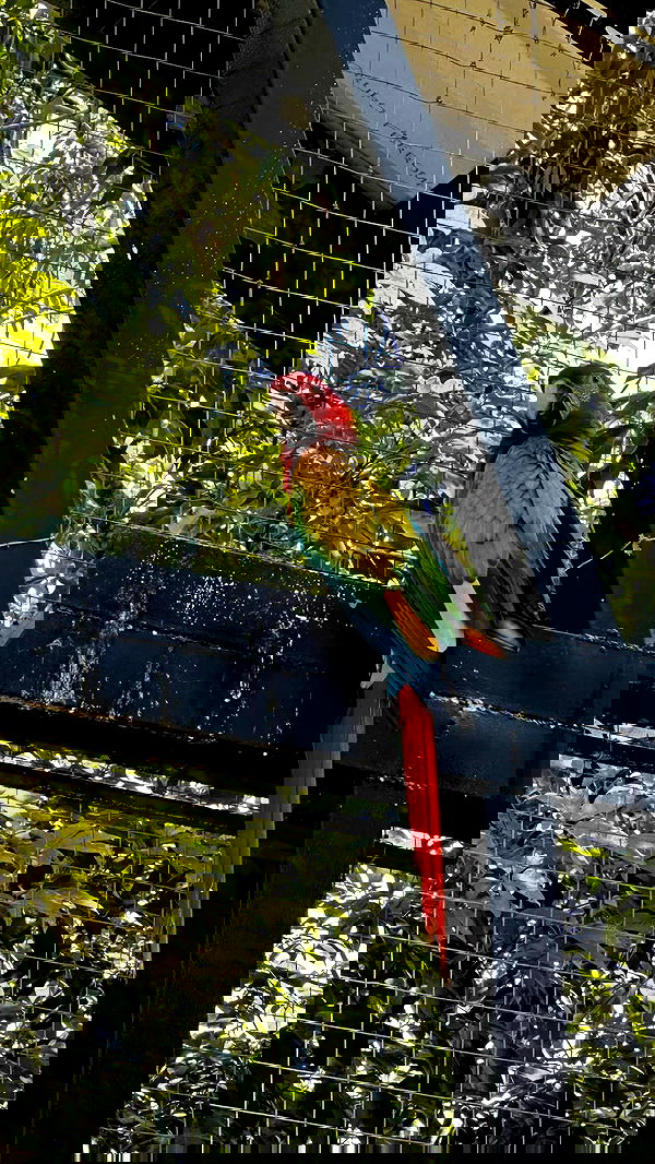 ivy.pavlova image ~ Altpins