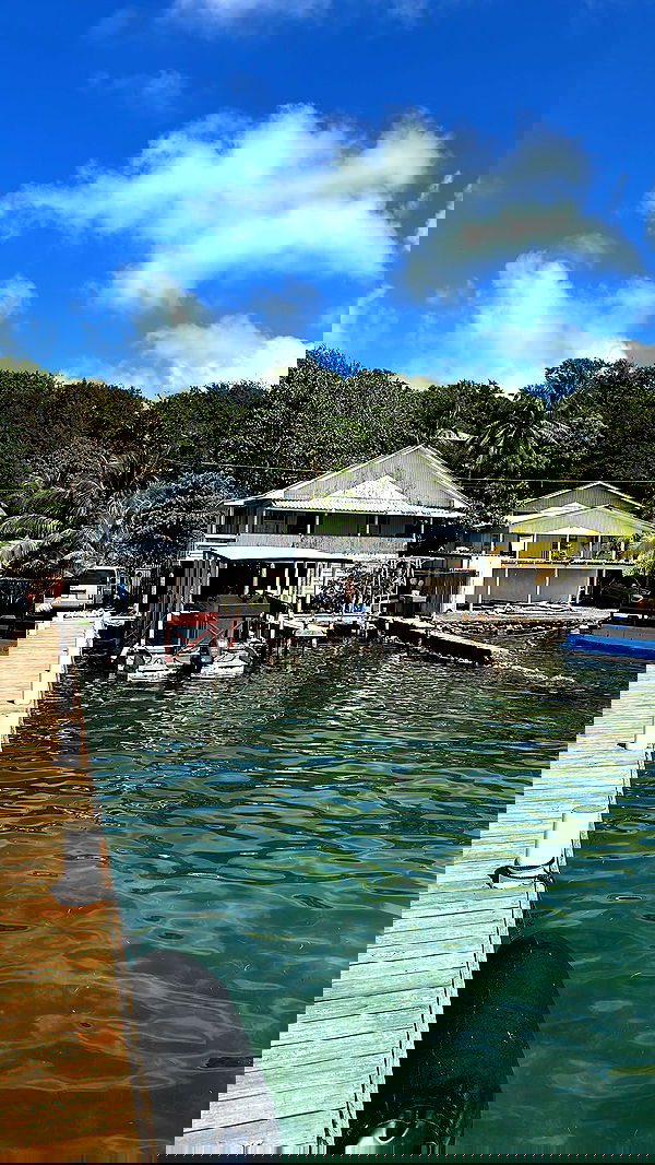 ivy.pavlova image ~ Altpins