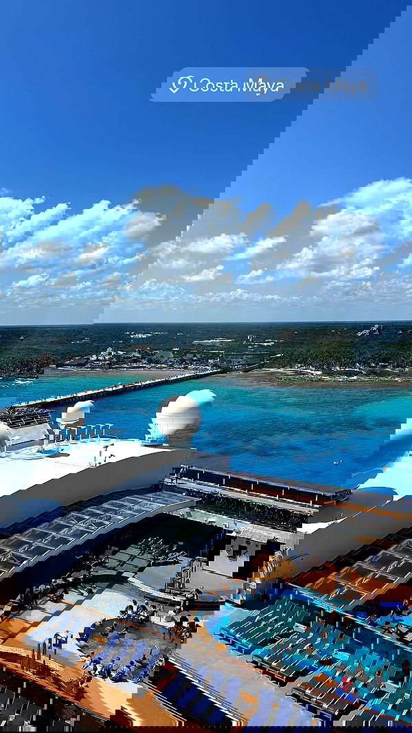 ivy.pavlova image ~ Altpins