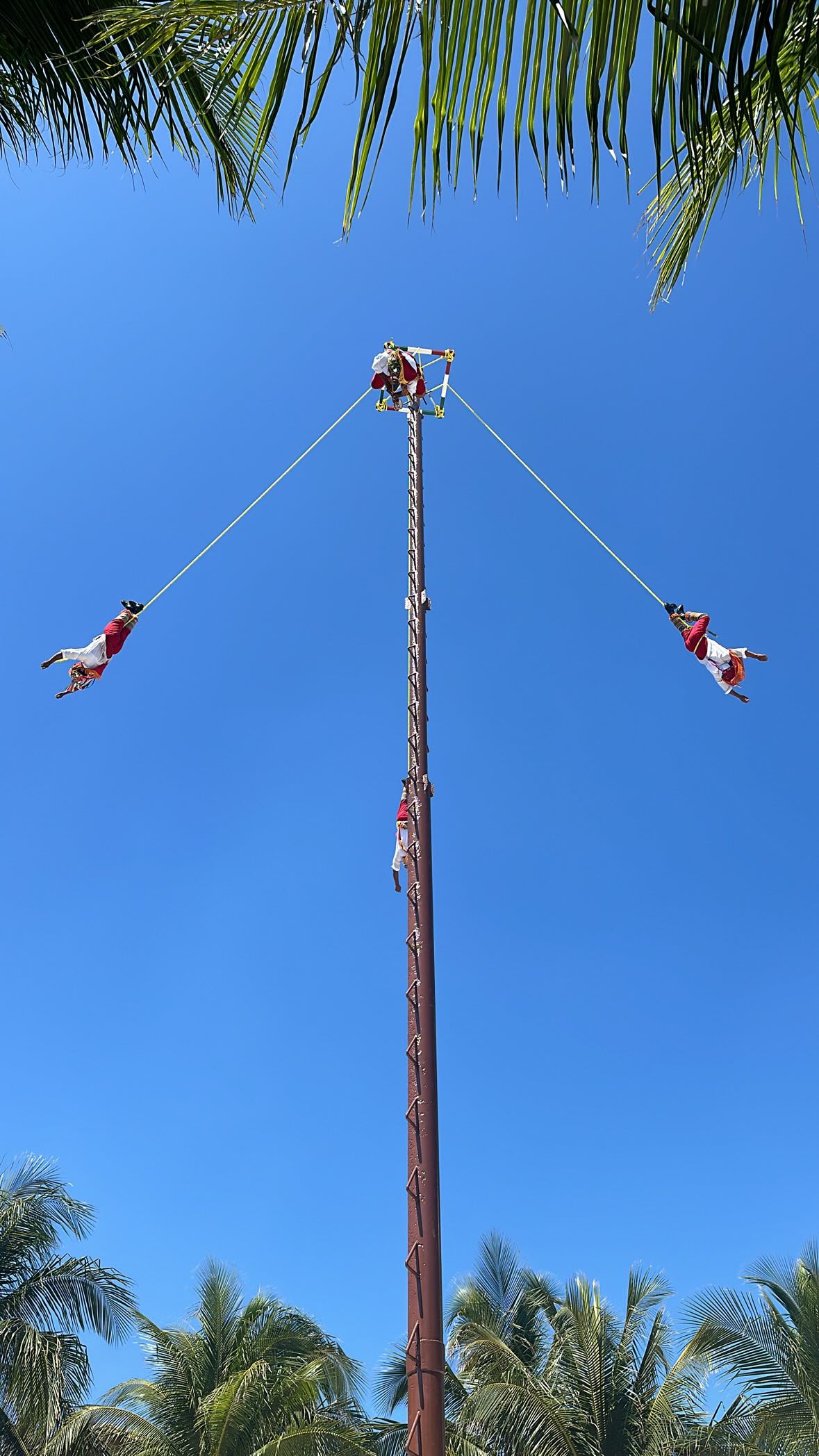 ivy.pavlova instagram image archive image