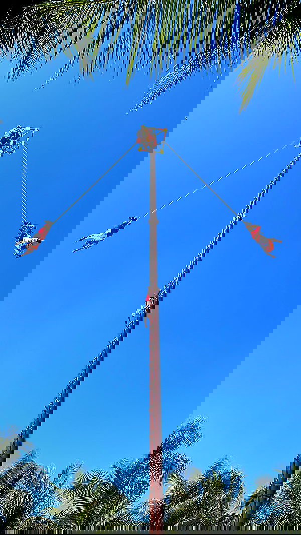 ivy.pavlova image ~ Altpins