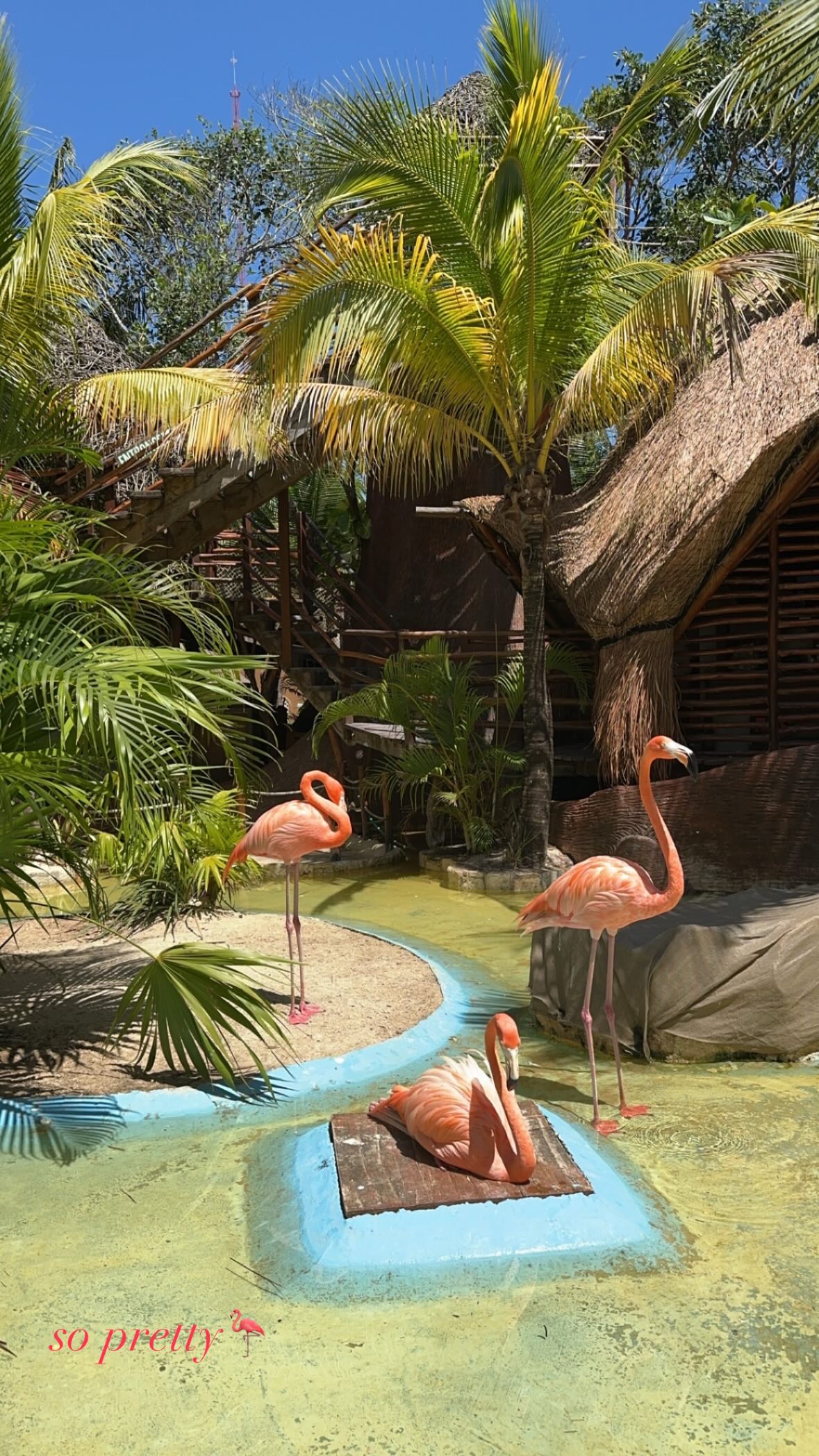 ivy.pavlova instagram image archive image