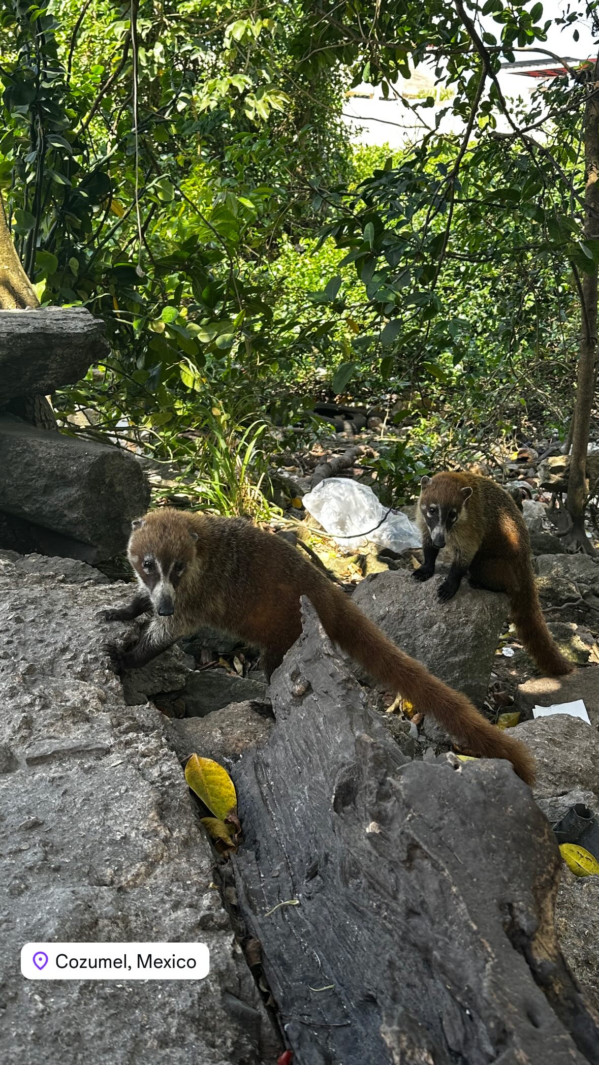 ivy.pavlova instagram image archive image