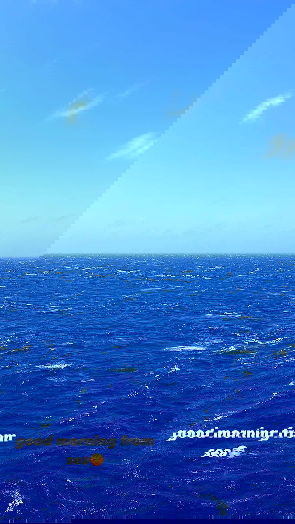 ivy.pavlova image ~ Altpins