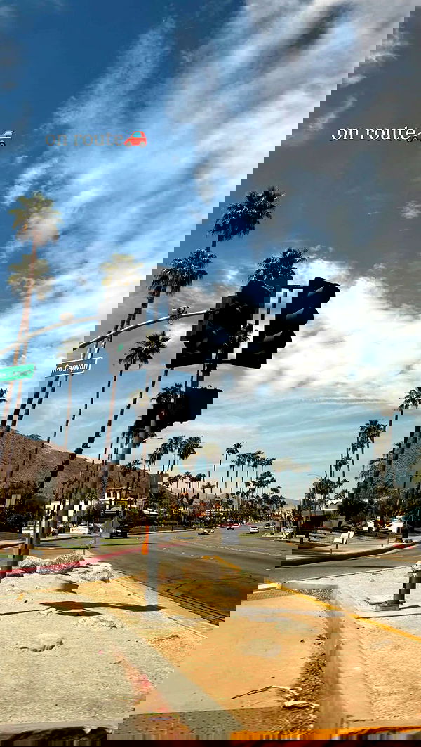 ivy.pavlova image ~ Altpins