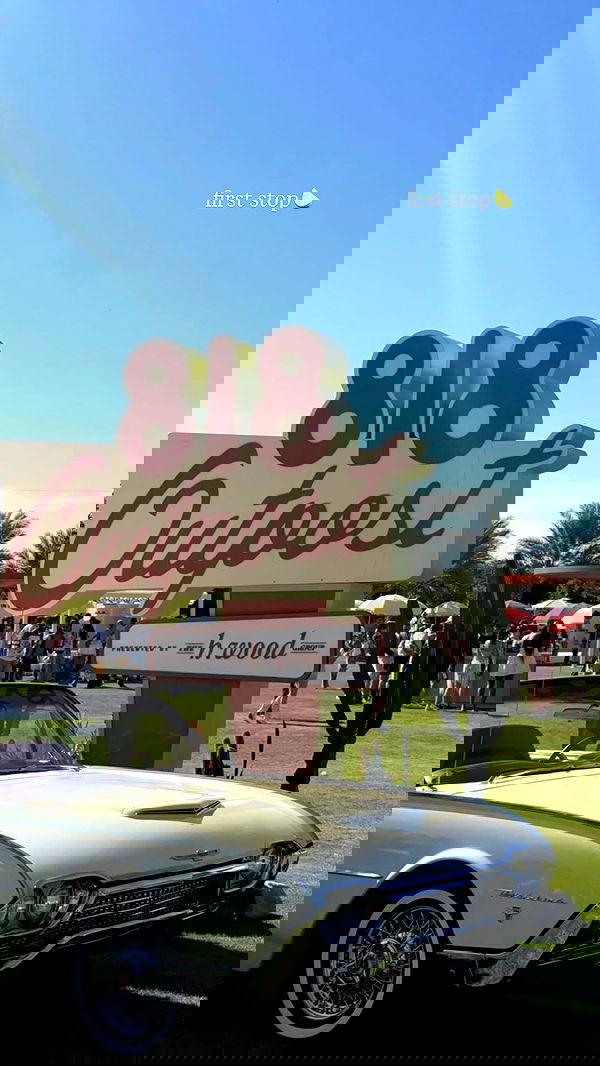 ivy.pavlova image ~ Altpins