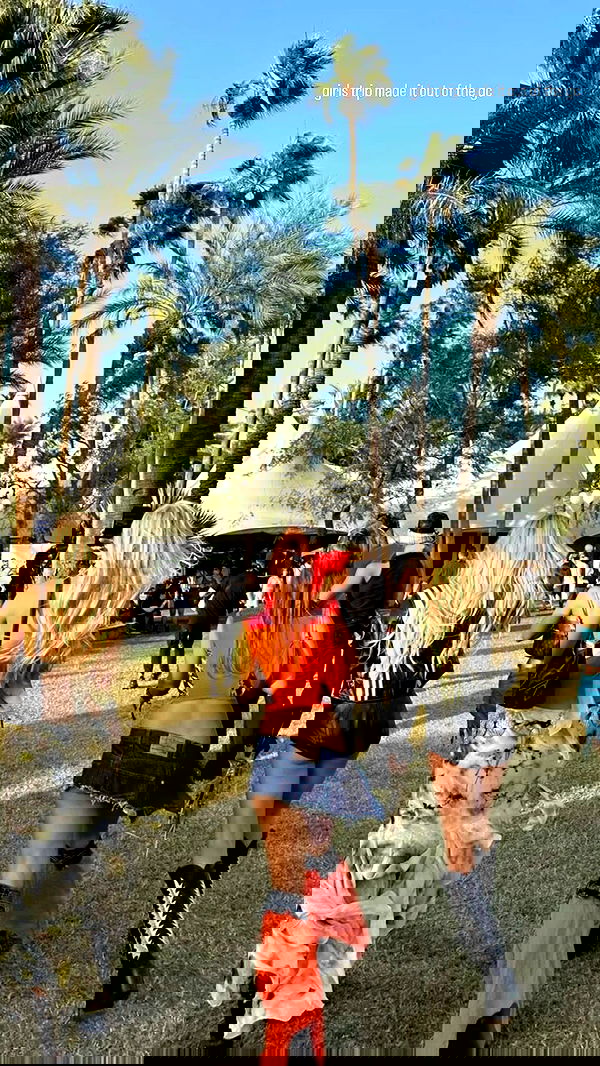 ivy.pavlova image ~ Altpins