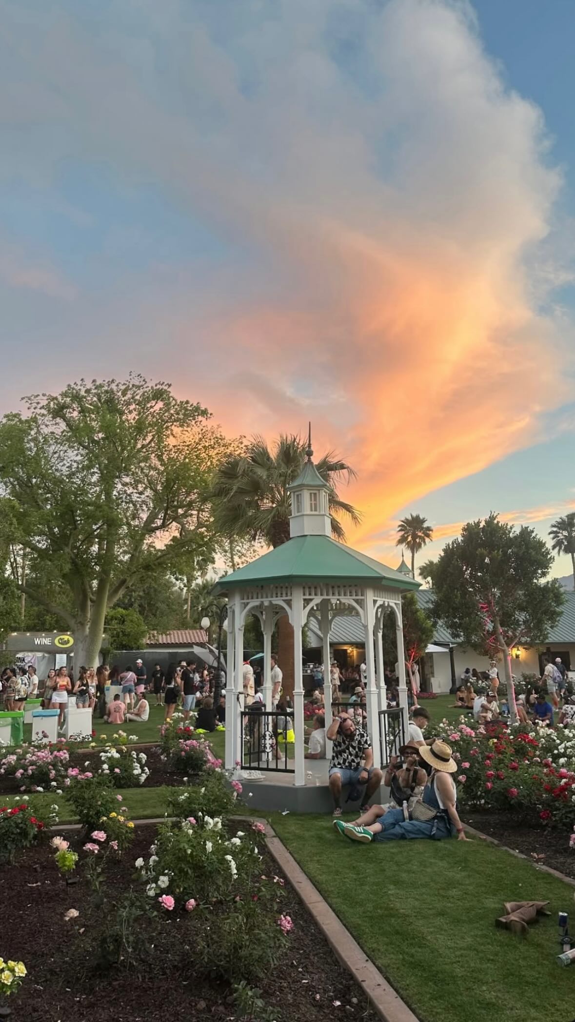 ivy.pavlova instagram image archive image