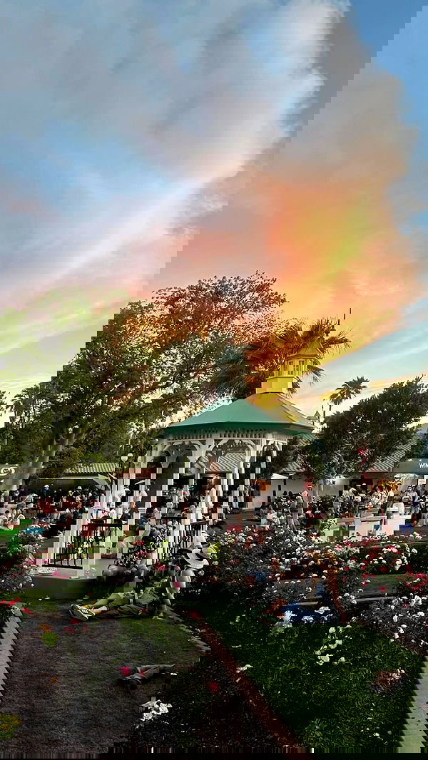 ivy.pavlova image ~ Altpins