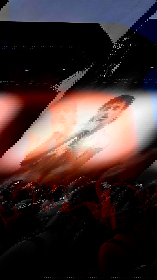 ivy.pavlova image ~ Altpins