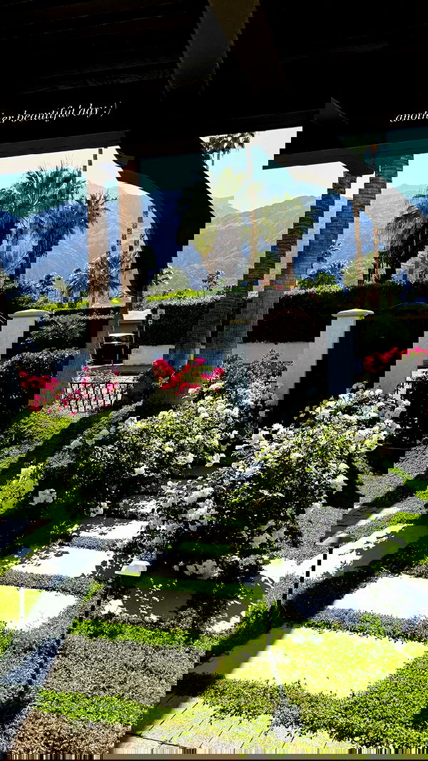 ivy.pavlova image ~ Altpins