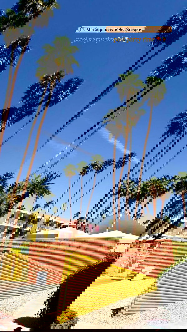 ivy.pavlova image ~ Altpins