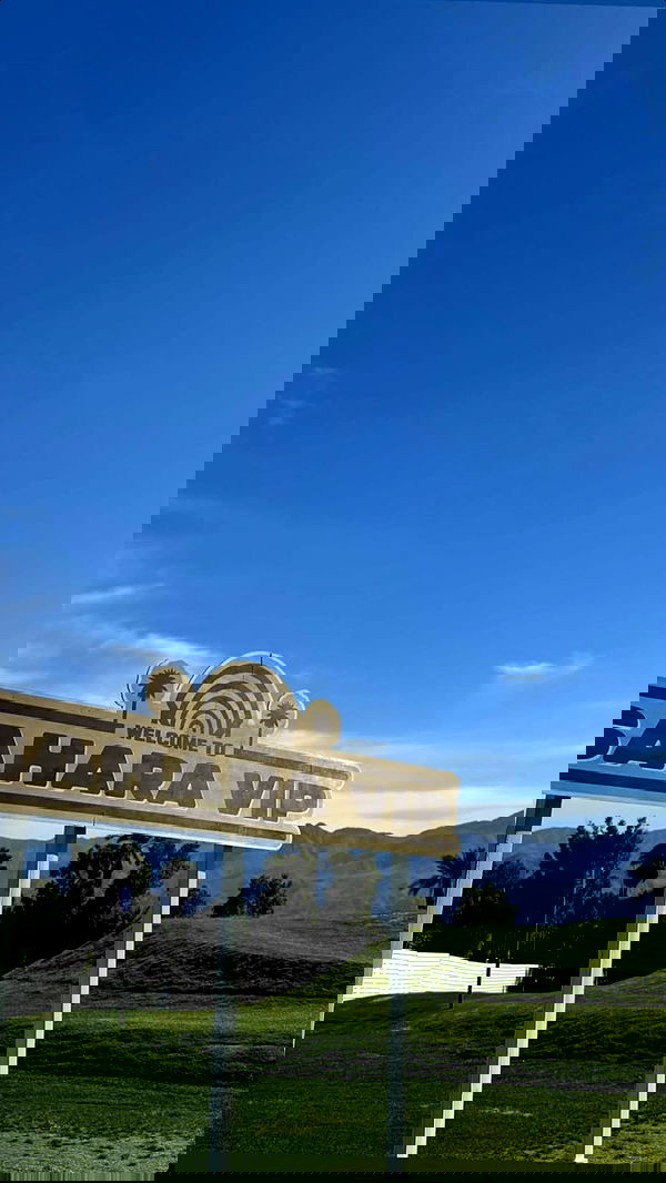 ivy.pavlova image ~ Altpins