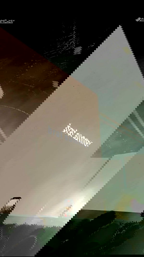 ivy.pavlova image ~ Altpins