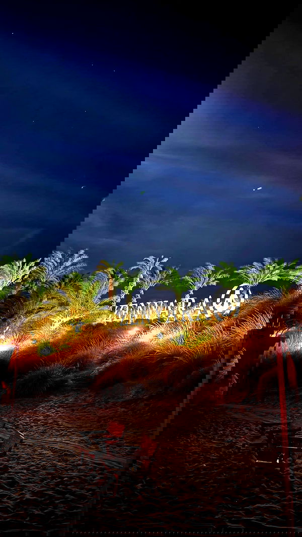 ivy.pavlova image ~ Altpins