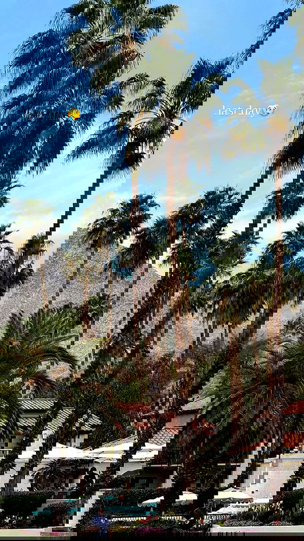 ivy.pavlova image ~ Altpins