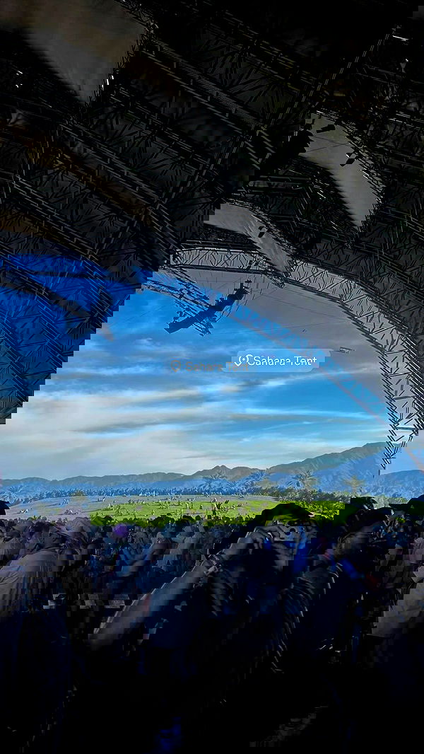 ivy.pavlova image ~ Altpins