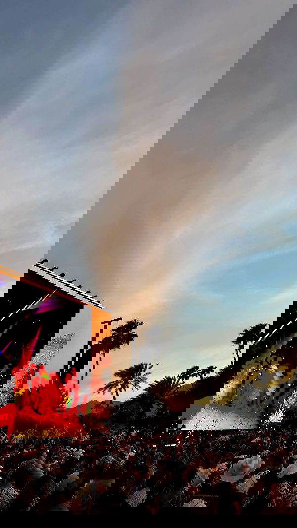 ivy.pavlova image ~ Altpins