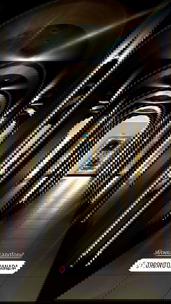 ivy.pavlova image ~ Altpins