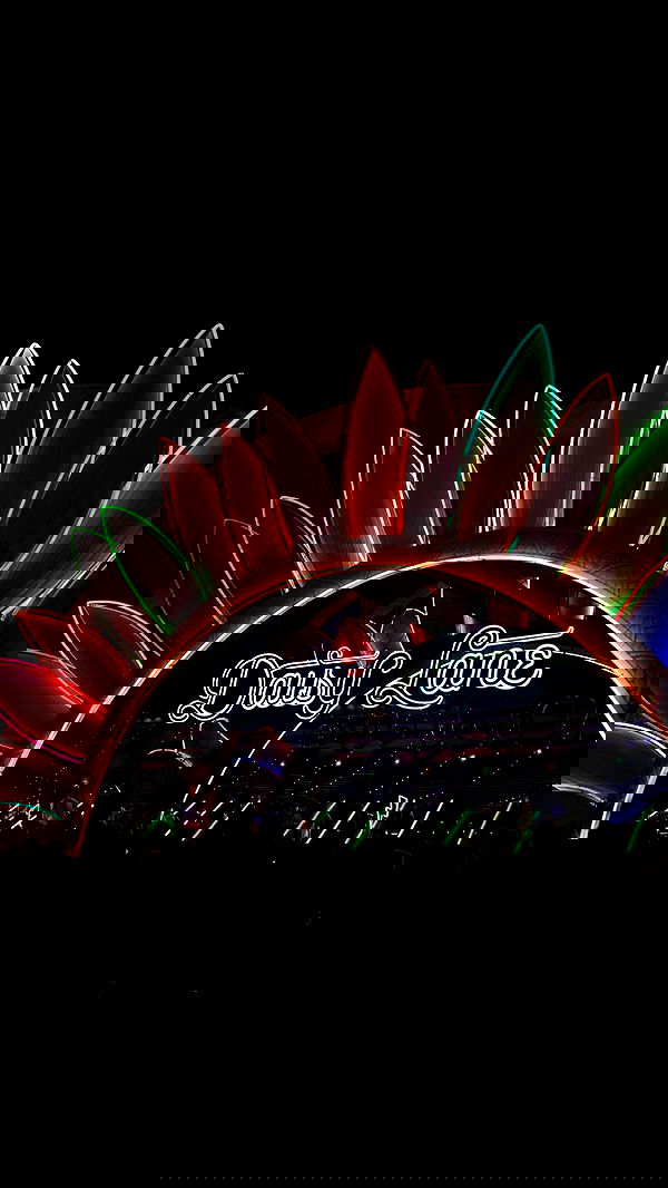 ivy.pavlova image ~ Altpins