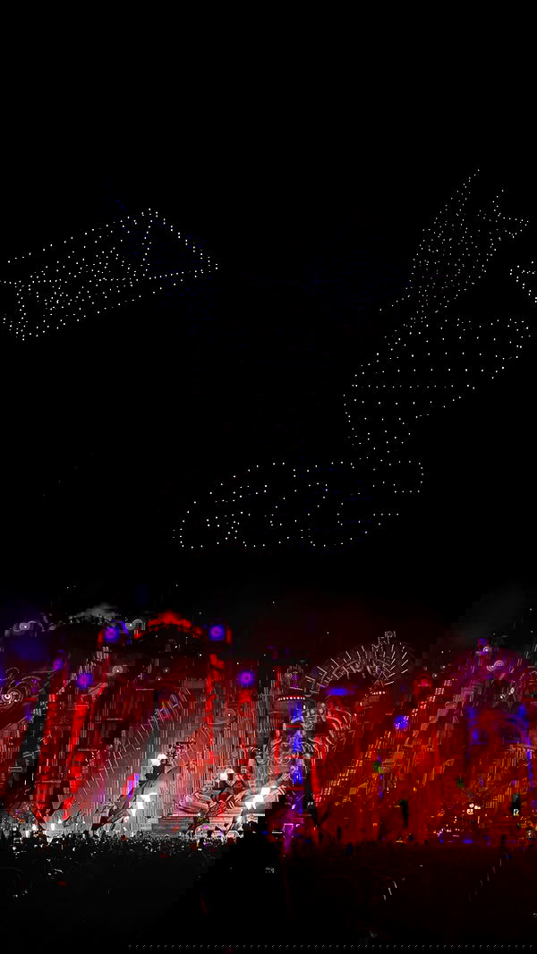 ivy.pavlova image ~ Altpins