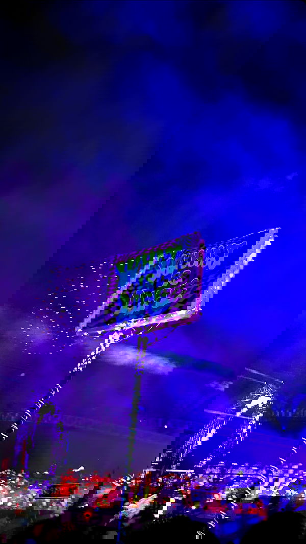 ivy.pavlova image ~ Altpins