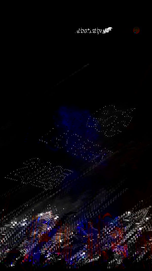 ivy.pavlova image ~ Altpins