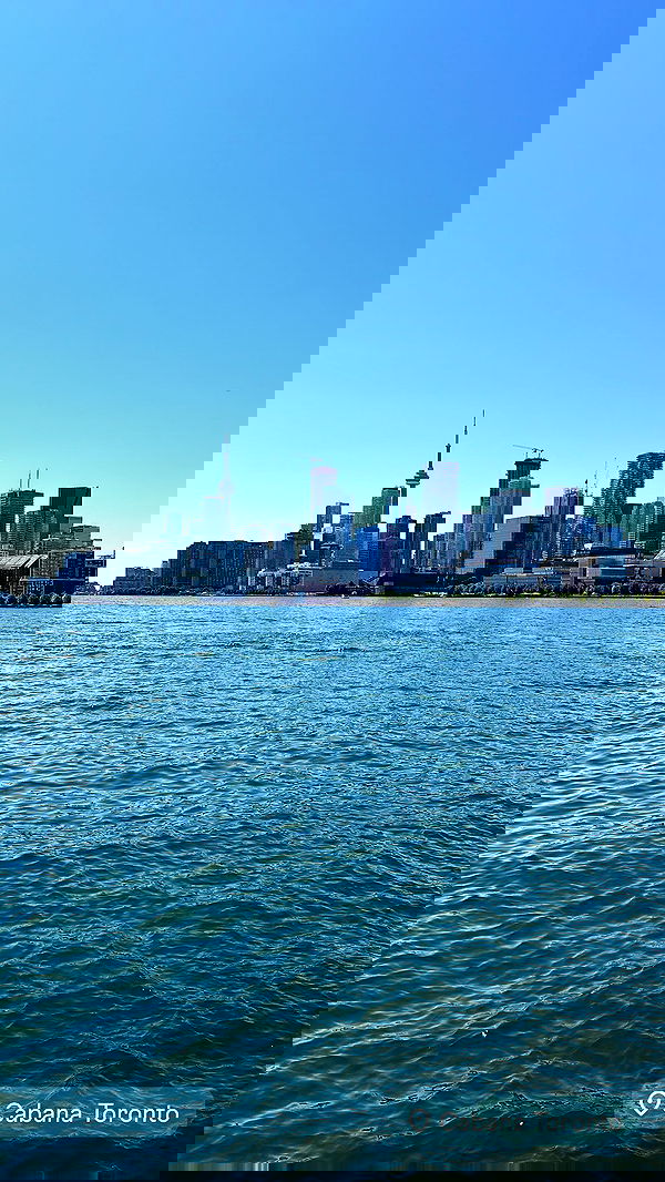 ivy.pavlova image ~ Altpins