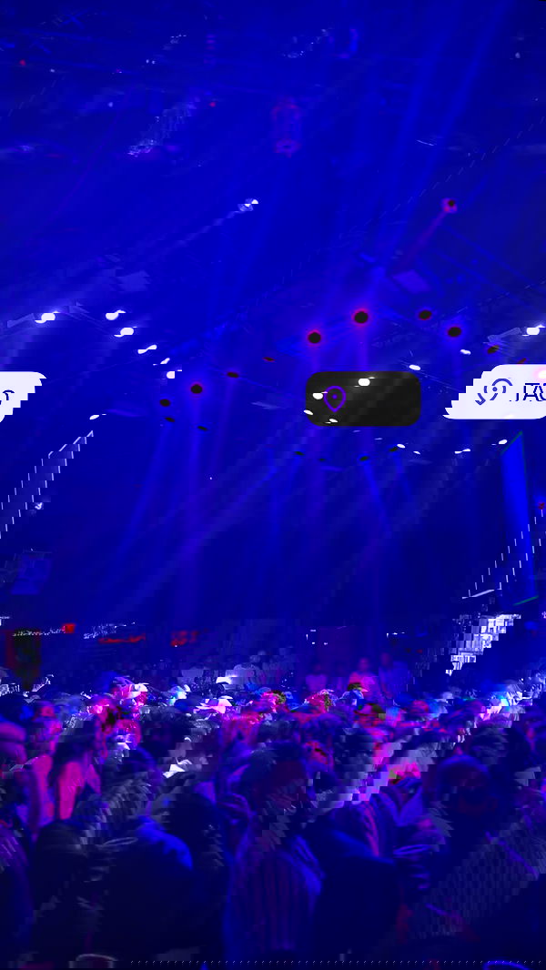 ivy.pavlova image ~ Altpins