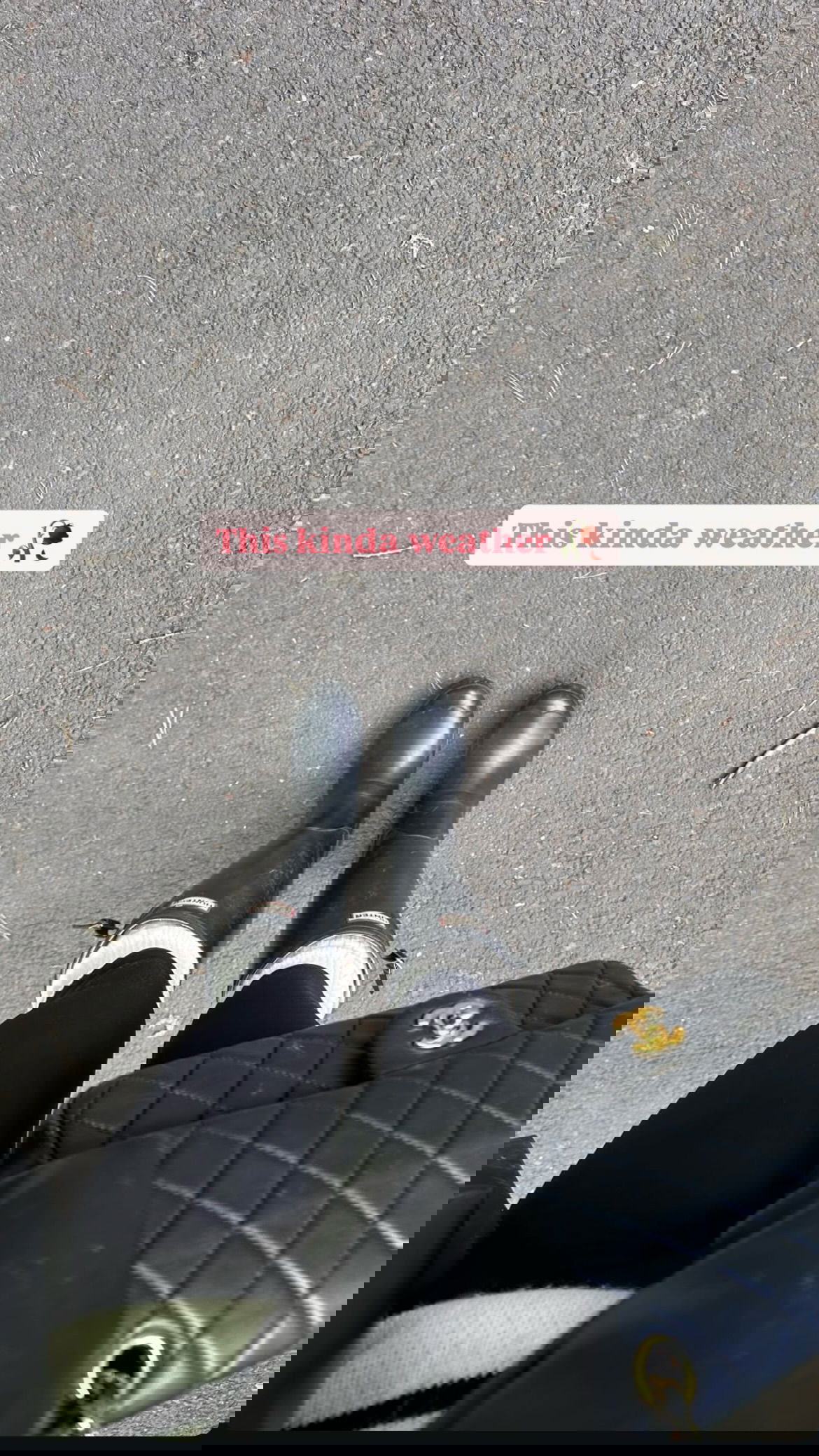 ivy.pavlova instagram image archive image