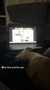 izabelgold Altpins Profile Picture