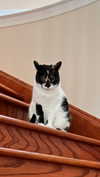 j.yce Altpins Profile Picture