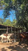 j.yce Altpins Profile Picture