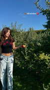 j.yce Altpins Profile Picture