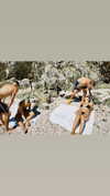 jade.schutte Altpins Profile Picture
