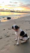 jade.schutte Altpins Profile Picture