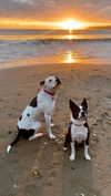 jade.schutte Altpins Profile Picture