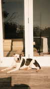 jade.schutte Altpins Profile Picture