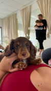 jadelawrence5 Altpins Profile Picture