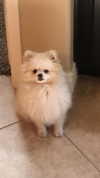 jailyneojeda Altpins Profile Picture