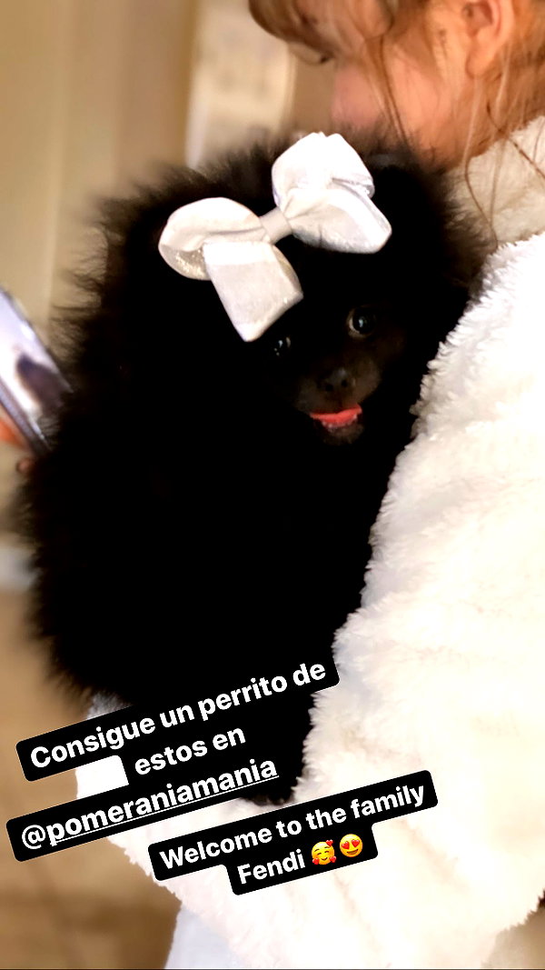 jailyneojeda instagram image archive image